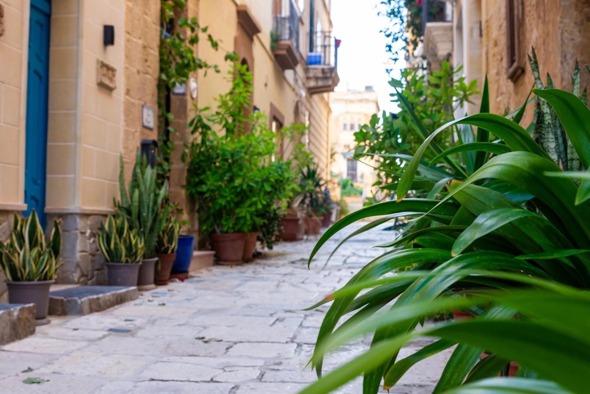 Great Siege Apartment Senglea Buitenkant foto